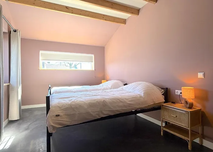 Sientjeshof 1 Holiday home Diessen