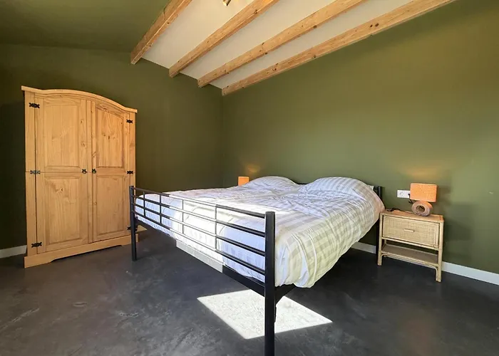 Sientjeshof 1 Holiday home Diessen