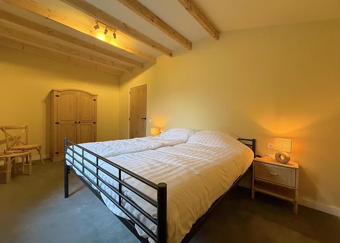 Sientjeshof 1 Holiday home Diessen